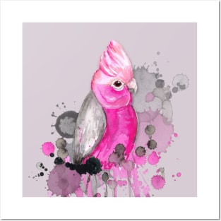 Galah cockatoo Posters and Art